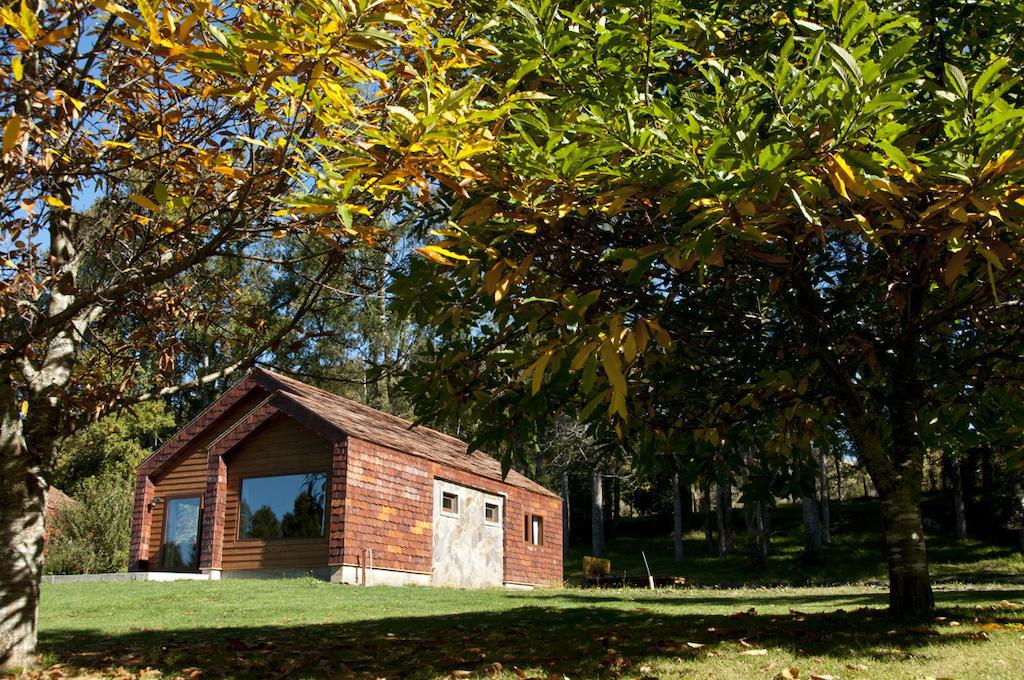 Cabanas Patagonia Lefun Pucón Exteriér fotografie